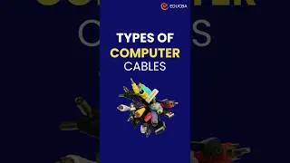 🔌 Types of Computer Cables 🔌