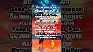 Каких знаков Зодиака вы никогда не увидите  #астрология #гороскоп  #astrology #знакизодиака