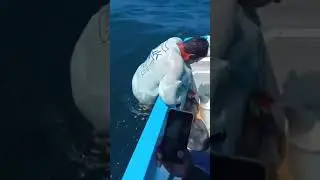 When forgot tackle