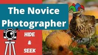 Novice Photographer Hide and Seek... See How I Fare