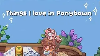 ✮⋆ Things I love in Pony Town