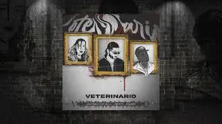 JOJAIRO HP, CROSTY, SANTIAGO THE KILLA (VETERINARIO) 