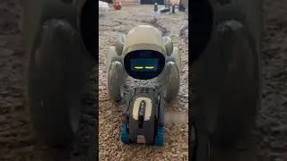 loona meets vector robots 