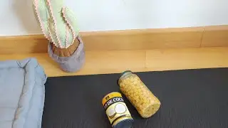 Pilates En Directo Tonificación