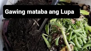 Paano natin mapapataba ang mga gamit ng Lupa /Recycle Soils with kitchen waste