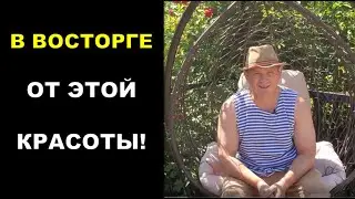 Вот во что вылились мои эксперименты в деревне. Сам в шоке!