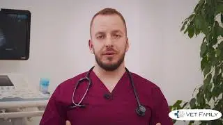 Новата Ветеринарна Клиника Vet Family в София