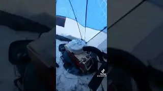 Вот это рыбалка