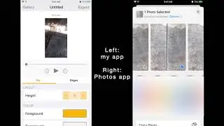 Custom View Controller transition like the Photos app's share sheet