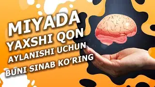 Miyada yaxshi qon aylanishi uchun  buni sinab ko'ring