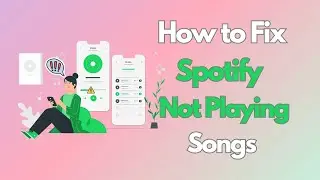 How to Fix Spotify Not Playing Songs [Top 6 Solutions]
