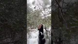 До свидания, зимушка! 