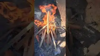 Meat and only MEAT! #nomadic #cooking #meat