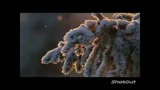 Пришвин М  М  «Жаркий час»