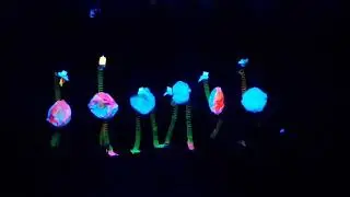 Avestruces 2