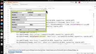 (3) Create App, Validate, Check User Input Entry Fields in Python using Tkinter, first- & lastname