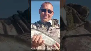 вот и закрыл сезон рыбалки 2023!