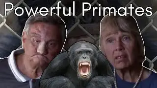 Chaos, Escape and Carnage: The Tragic Case of a Chimp “Child” (Moe, St. James & Ladonna Davis)