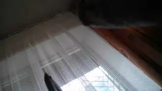 Говорящий 