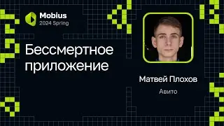Матвей Плохов — Бессмертное приложение