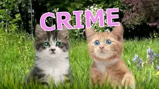 Crime - Rathergood Chat episode 11