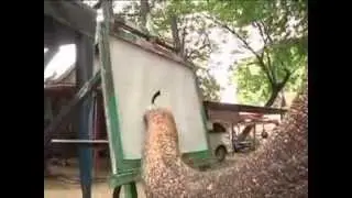 Elephant Paints Beautiful Works of Art