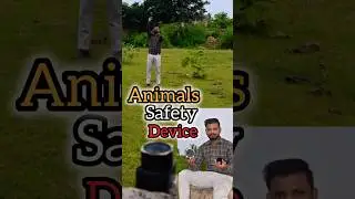 Animals Safety Project #shorts #trending #science #experiment