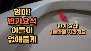 평생 써먹는 변기 요석 1분만에 없애는 법