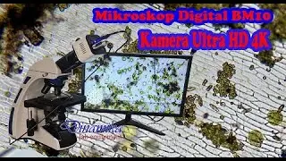 Mikroskop Digital Biologi BM10 Real 4K Ultra HD Mouse kontrol
