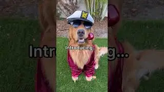 My dog dresses up as Hugh Heffner