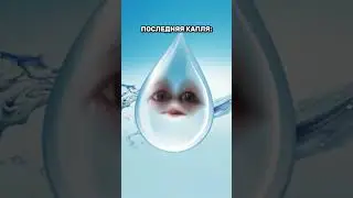 Жиза?                                          #туалет #последняякапля #прикол #юмор #жиза #reels