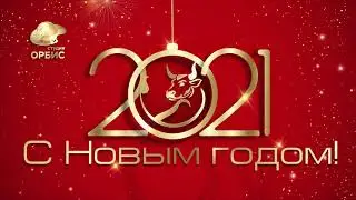 ОРБИС, с НОВЫМ 2021 ГОДОМ