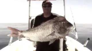 Pesca mare: Dentex gibbosus
