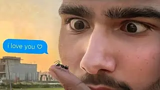 I Married to an Ant *for real*