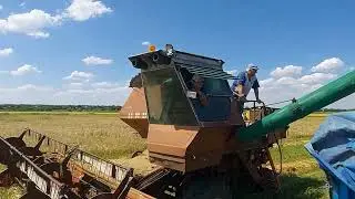 Уборочная 2023!!! Баклановская Ставпольский край