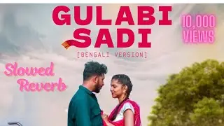 Gulabi Sadi  slowed reverb #gulabisadi
