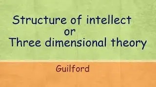 Three dimensional theory or Structure of intellect (SI)