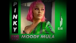 (FREE) Gunna x Doja Cat Bouncy Acoustic Guitar Type Beat "Pinky" (Prod.by Moody Mula)
