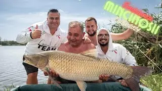 Mincinoșii - 7 iulie 2024