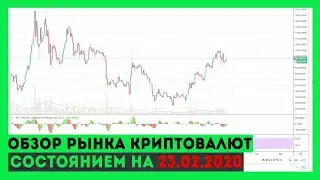 Прогноз криптовалют на 23.02.2020