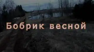 Подкрался к бобру