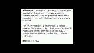 Rolândia ganha maior berçário de pintinhos do Brasil