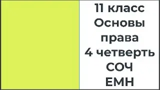 11 класс Основы права 4 четверть СОЧ ЕМН
