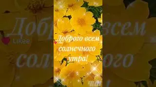 Доброго всем солнечного утра!
