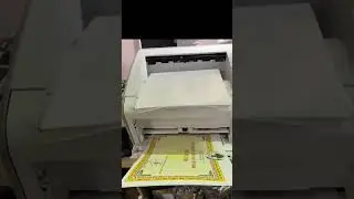 MÁY IN RICOH SP 6430DN CHUYÊN DÙNG IN SỔ ĐỎ, BẰNG KHEN....