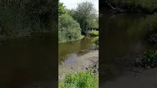 В поисках Головля.