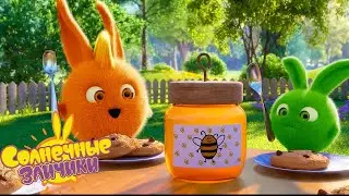 СЛАДКИЙ МЕД - Солнечные зайчики | Сборник мультфильмов для детей