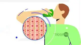 Explainer Video for Water Purifier Company | RaselerKaj