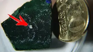 Самая маленькая и самая большая книга на земле какие они?