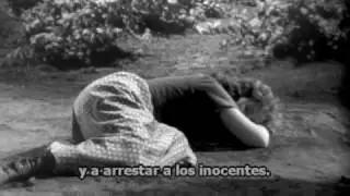 Fraternidad humana